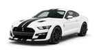 Koszulka Ford Mustang GT 500